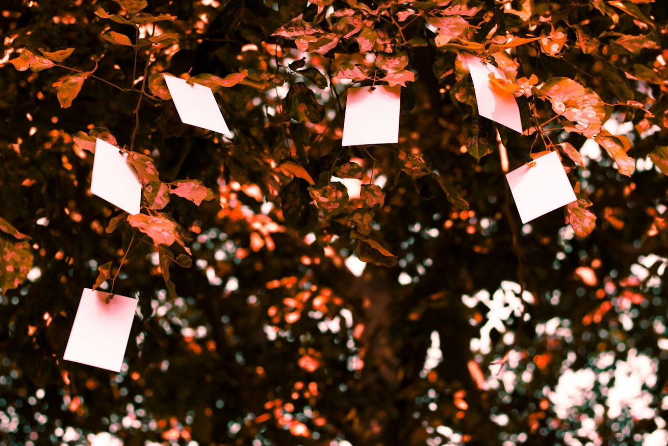 7 motivos para abandonar de vez o papel na sua empresa